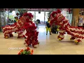 Download Lagu 新加坡玄威龍獅學院 Singapore Xuan Wei Dragon \u0026 Lion Dance Troupe