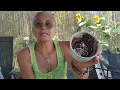 Download Lagu 🌿CITIRE ÎN CAFEA 💯 MARE BUCURIE TE AȘTEAPTĂ ÎN VIITORUL FOARTE APROPIAT SCHIMBĂRI WOW ÎN VIAȚA TA🌿 