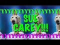 HAPPY BIRT AY SUE CAREY - EPIC Happy Birt ay Song