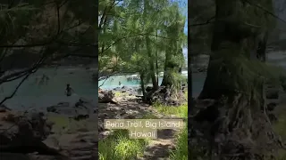 Puna trail on the Big Island of Hawaii. White Sandy Beach of Hawaiʻi Song by Israel Kamakawiwoʻole