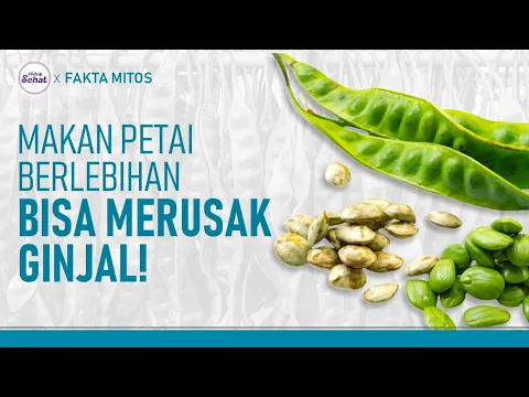 Manfaat dan Efek Samping Makan Petai yang Perlu Diketahui