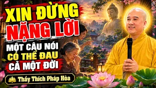 XIN ĐỪNG NẶNG LỜI – MỘT CÂU NÓI CÓ THỂ ĐAU CẢ MỘT ĐỜI | Thầy Thích Pháp Hòa
