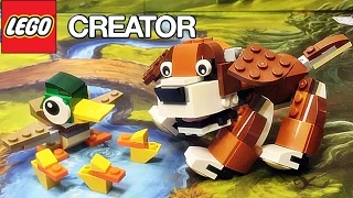 레고 크리에이터 공원의 동물들 강아지 오리 31044  귀여운 동물 조립 리뷰 Lego Creator Park Animals Dog Duck