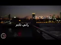 Choufou L’amour Madar Fiya / شوفو لامور مادار فيا / cover Amine Babylone Live 2024