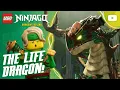 Lagu BRAND NEW 🌟 Lloyd Meets the Life Dragon! 🐉 | Season 4 | Episode Clip | LEGO NINJAGO: Dragons Rising