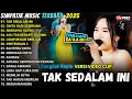 Download Lagu TAK SEDALAM INI - SIMPATIK MUSIC FULL ALBUM TERBARU 2025 || DIVA HANI - LAILA AYU KDI