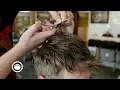 Get That Choppy Surfer Haircut