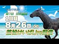 Download Lagu 笠松けいばライブ配信R7.08.26