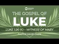 Luke 1 26-80 - Witness of Mary
