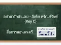 อย่ามารักฉันเลย - ลีเดีย ศรัณย์รัชต์ (Key C) เพลงจากละครพิษรักรอยอดีต