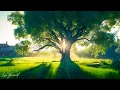 Download Lagu ВОССТАНОВЛЕНИЕ НЕРВНОЙ СИСТЕМЫ 🌿 Нежная музыка, успокаивает нервную систему и радует душу #51