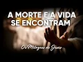 Download Lagu A Morte e a Vida Se Encontram #Milagres de Jesus | Pr. Josué Brandão