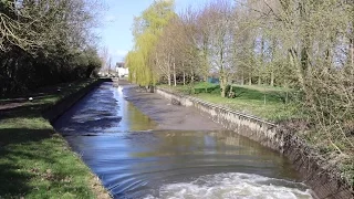 Filling a pound in 15 seconds – Life in a Nutshell