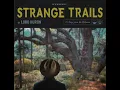 Download Lagu Lord Huron - The Night We Met (Instrumental)