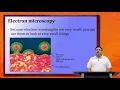 ECH - The Electronic Structure of Atoms by Dr Pradipta Ghosh Part