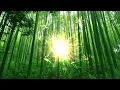 Tinlicker - Fractal 432hz