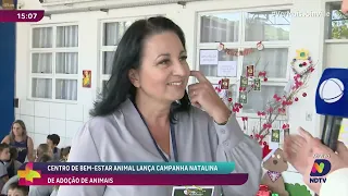 Joinville lança campanha de Natal que destaca cães e gatos que esperam um novo lar