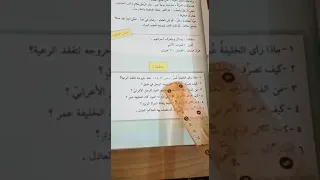 مناقشة الخليفة عمر والاعرابي 