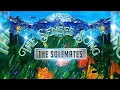 The Solemates Music - The Senses New Song Out Now