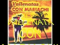 TATUAJE EN EL ALMA - SERENATA VALLENATA CON MARIACHI