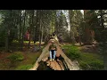 Devenish Radio Ep.2: Playing House, UKG and Afro on a Giant Sequoia Tree in a High Sierra Meadow