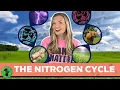 The Nitrogen Cycle