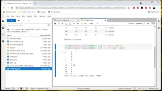 Prepare Iris Data