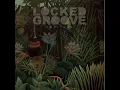 Locked Groove - Wear It Well [HF038]