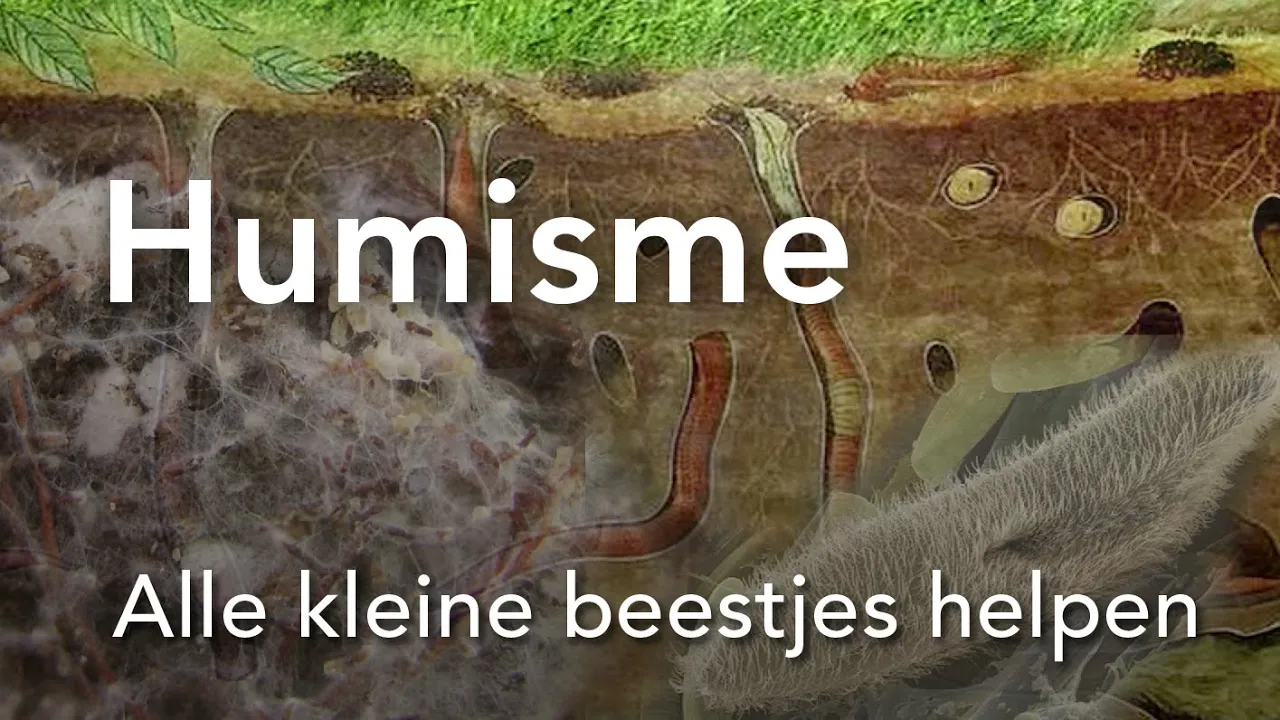 Humisme   Alle kleine beestjes helpen