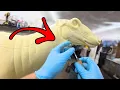 How I Prep a Deer Form for Taxidermy