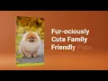 Fall Into Puppy Love At Petland Knoxville