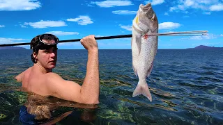 7 DÍAS PESCANDO al PEZ MÁS DIFÍCIL con una LANZA