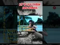 Download Lagu 10 Lagu Terbaik Armada Sepanjang Masa! #shorts #armada