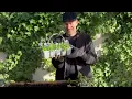 Getting our Spring Window Boxes Ready I Perennial Garden