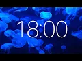 18 Minute Timer with Ambient Music and Jellifish