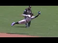 AMAZING 2022 Fielding Plays These guys can flash the leather
