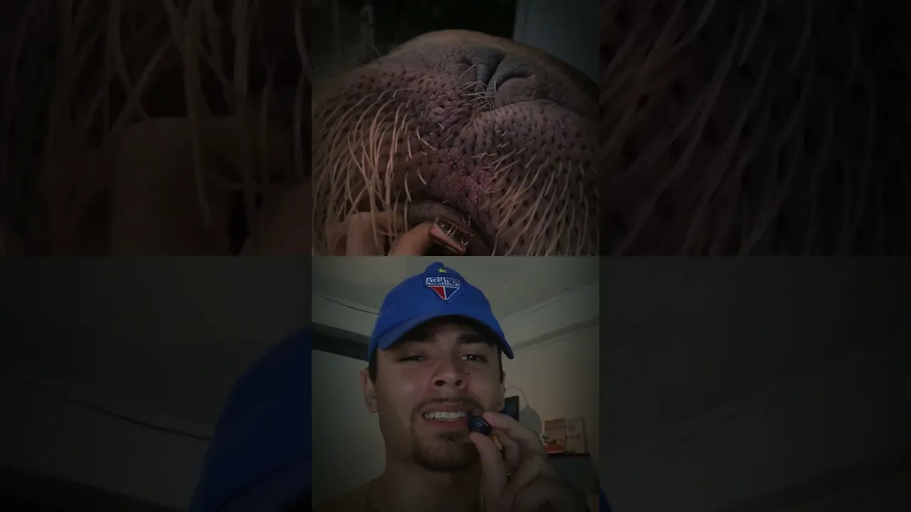 DESAFIO IMPUSSÍVEL