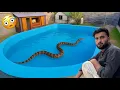 Download Lagu Swimming pool Ke Mini Zoo Mai Saanp Aa Gaya Aaj To 😧 || Shehr Main Dihat