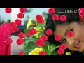 Download Lagu Ek Chanchal Sokh Hasina Mere Sapno Me Aahe Satya Dhall Balan (pk)