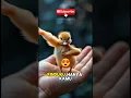 Download Lagu Cintaku hanya kamu, cinta merah jambu