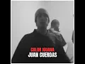 Color Iguana - Juan Cuerdas
