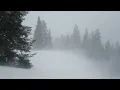 Download Lagu Snow Blizzard - NO Copyright - Free Stock Footage - Creative Commons Videos