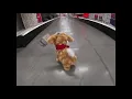 Tractor Supply Company Gemmy Animatronic Christmas Goat