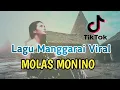 Download Lagu MOLAS MONINO // Lagu Joget Manggarai Viral Tik Tok terbaru