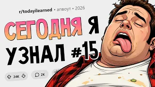 Однояйцевые близнецы ставят друг друга выше партнёра. Сегодня я узнал #15