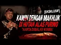 Download Lagu KAWIN DENGAN JIN ALAS PURWO DIKASIH KEKAYAAN TAPI MATI BRO !! KISAH MISTIS PESUGIHAN ALAS PURWO