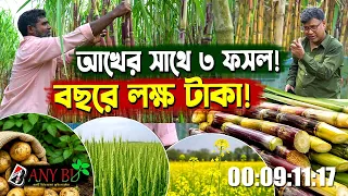 এক জমিতে আখের সাথে ৩ ফসল! বছরে লক্ষ টাকা আয় আনুমানিক । রং বিলাস আখ চাষের পুরো পরিকল্পনা