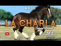 Enigma Norteño - La Charla (Corridos Nuevos 2017)