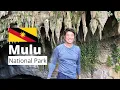 Download Lagu 🦇 UNESCO World Heritage Gunung Mulu National Park: Deer Cave, Lang Cave, Wind Cave, Clearwater Cave