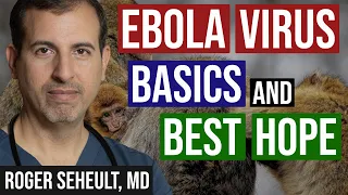 Ebola Virus BDBV Fundamentals and Best Hope for Treatment